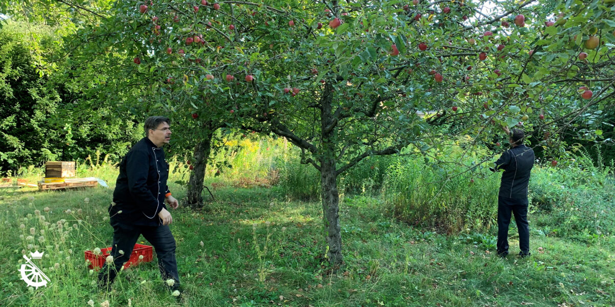 Tradition und Nachhaltigkeit im Schwestern-Garten des Sankt Gertrauden Krankenhauses