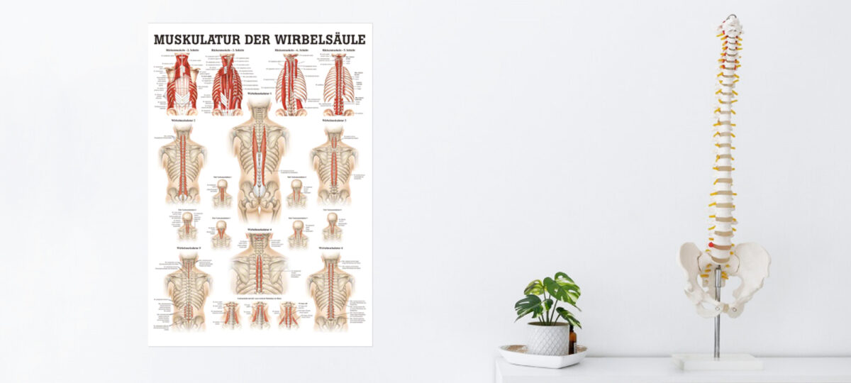 Neurochirurgie